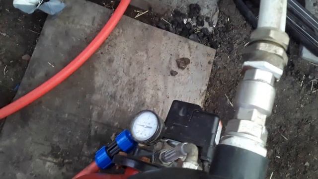 Выращивание огурца в теплице от А до Я. Выпуск#3 #subscribe #garden #выращивание #землядел