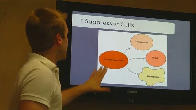 Boosting Your Immune System Part 2 смотреть онлайн