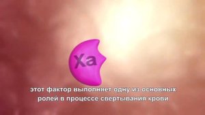 Обучающее видео: Вторичный гемостаз