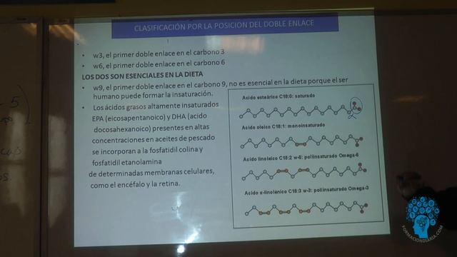 Lípidos - Simples смотреть онлайн