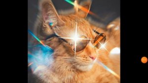 #я тигр #симбочка пимпочка оцеальный трек я тигр