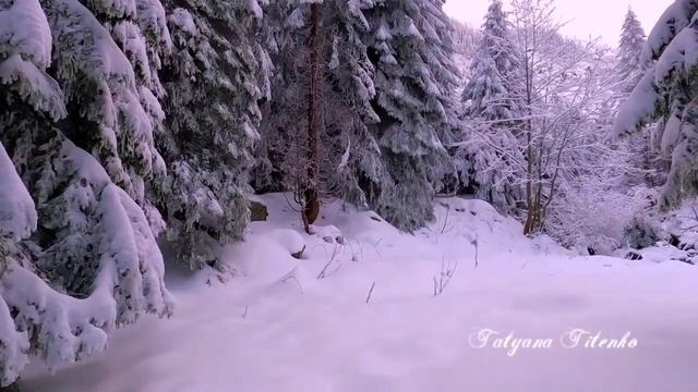 В ледяной карете мчится Зимушка зима  Zimushka-winter is rushing in an ice carriage