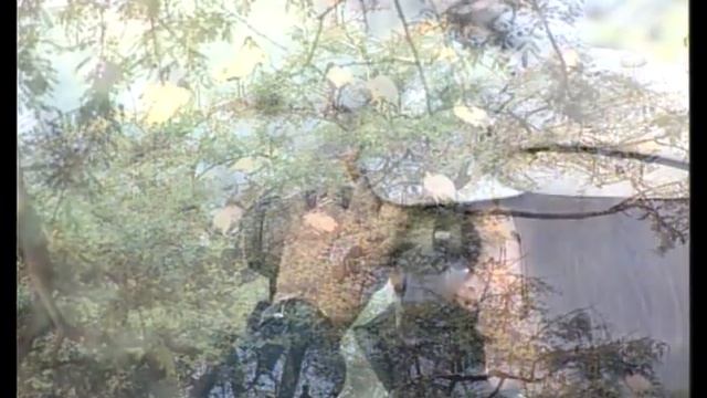 El Orgullo de India: Shruti Sharma смотреть онлайн