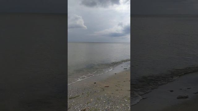 Черное море вода мутная и холодная купаются только моржи смотреть онлайн