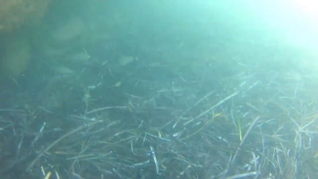 Тест экшен камеры под водой /Eken hr/ bodrum смотреть онлайн