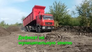02.07.2024 Дефекат на муниципальную землю — законно?