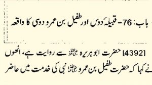 tufail bin amr DOSI RA KA WAQYA. SAHIH BUKHARI HADEES NO 4392