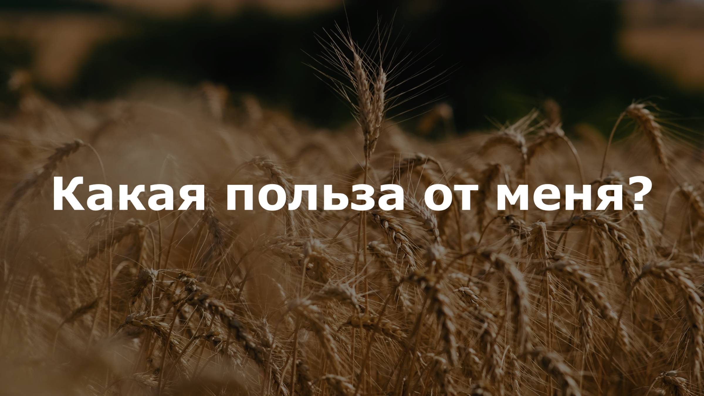 Чем я могу быть полезной? Елена П.
