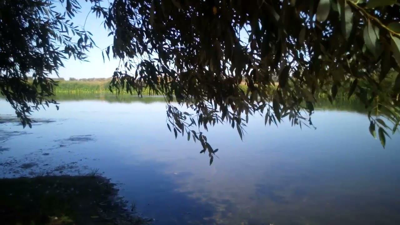 Печенеги , ракивка , похолодало , осень