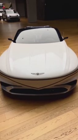 Genesis X Convertible Concept!