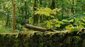 12001103_3840_2160_60fps