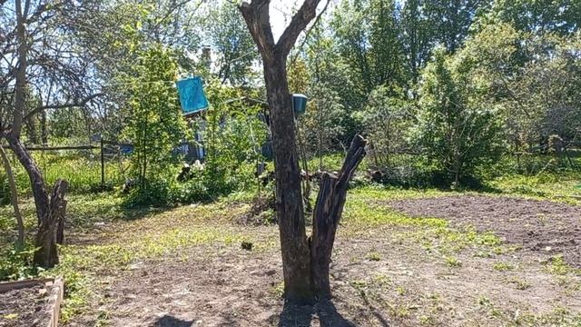 Дачные истории. Серия 8