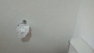 12.  Рио Колорадо сплав Лошади Активный отдых Гуанакаста Коста Рика 12.11.2024