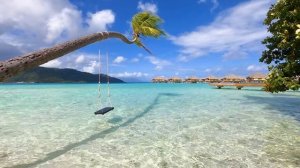 Island Paradise： 3 Hours of French Polynesia Ambience From Relaxing Taha'a