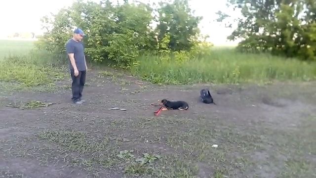 Интересный тренинг со связкой сидеть-лежать.
