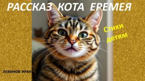 Рассказ кота Еремея. Про очень умного, общительного, доброго котика.