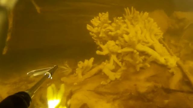 судак смотреть онлайн