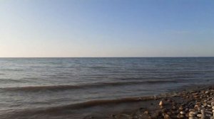 В роще пел соловушка💮#маринадевятова #music#luchshii#love#море #шумприбоя #весна #хит