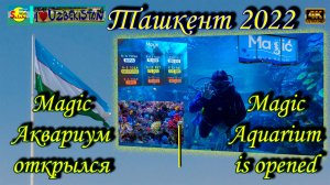 Magic Аквариум в Ташкенте | Magic Aquarium in Tashkent