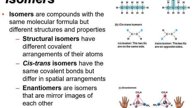 BIOL 165 - 04 - Chapter 4, Introduction to Carbon & Biomolecules