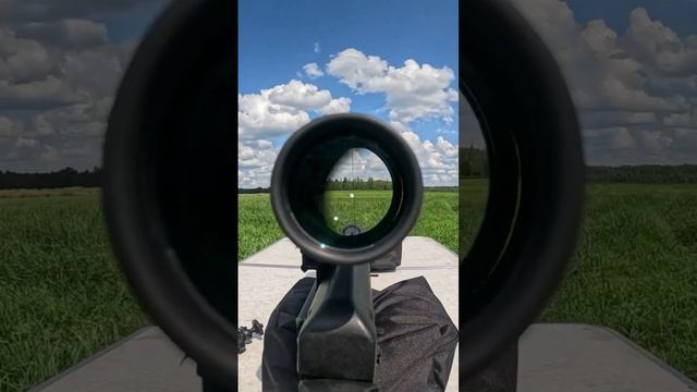 Карабин для охоты Тигр 762 Оружие охота СВД прицел