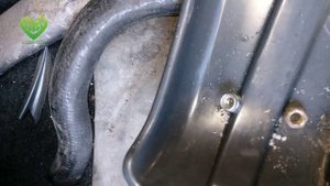 Замена стоек и пружин на ваз 2110. @BlagYar & @Svetovoi163