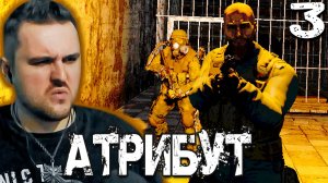 ДРУГ НАЁМНИКОВ (3) ► S.T.A.L.K.E.R. Атрибут