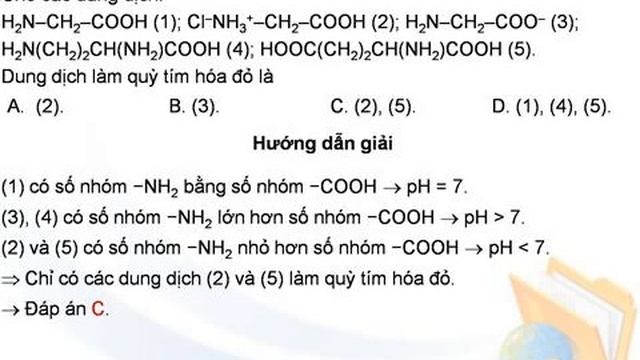 Bài tập về Aminoaxit смотреть онлайн