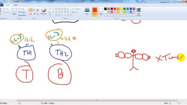 Immune - dr.Mustafa - Note(3) -- B cells, T cells, NK смотреть онлайн