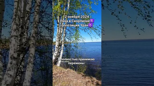 #2ноября2024 #гороскопдня