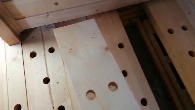 Апидомик. Сон на пчёлах. смотреть онлайн