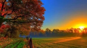 Жизненные истории Старик с младенцем Истории из жизни Слушать истории Аудио рассказы онлайн