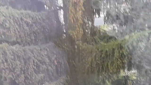 ЗАКАЗ ФАБЕРЛИК (ПО 8 КАТАЛОГУ)!👍 НОВЫЙ МАНИКЮР! 🔥ПОКУПОЧКИ!✨️ ВЛОГ 8.06.2024🤗 смотреть онлайн