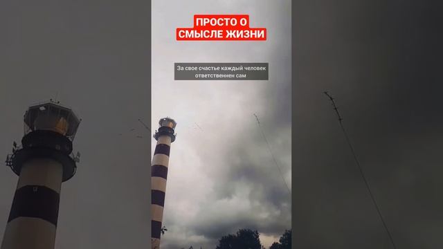 В ЧЕМ СМЫСЛ ЖИЗНИ? #простаяистина #мудрость #осознанностьжизни #shortsrussia