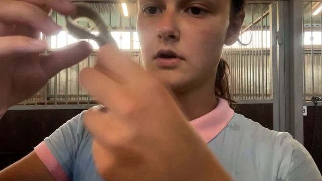 влог! день на конюшне смотреть онлайн