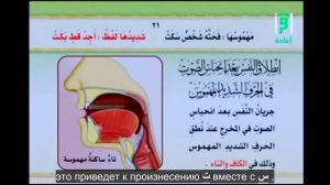 3. СИЛА, ПРОМЕЖУТОЧНОСТЬ, СЛАБОСТЬ. Щидда,рахава,байния