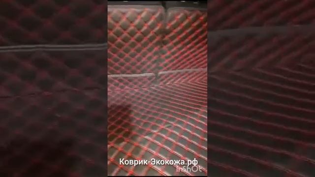 Lexus NX 3D коврики из экокожи