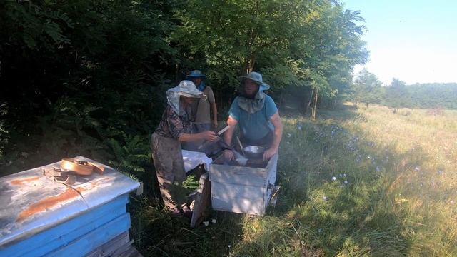 Imker in Moldavien/Пчеловоды в Молдове/Beekeepers in Moldova/Beekeepers in Moldova смотреть онлайн