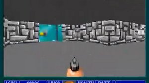 Wolfenstein 3D on scratch speed run 0:36 seconds