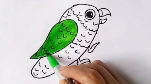 Красочное рисование попугайчика! раскраска для детей младшего возраста