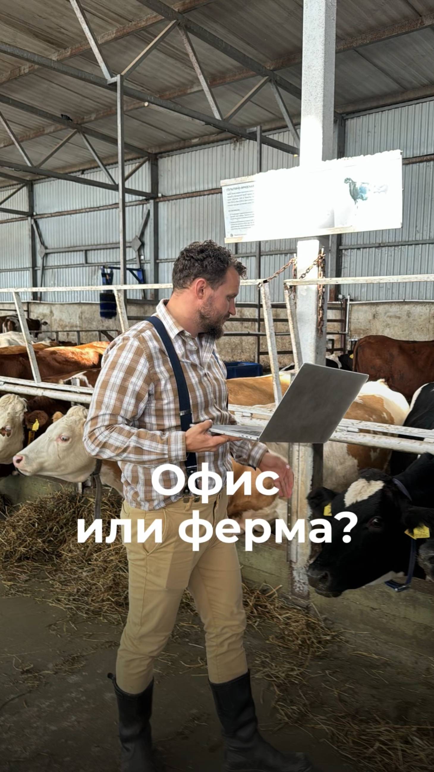 Я тут решил сравнить, что сложнее - весь день доить коров или делать отчеты за ноутбуком.