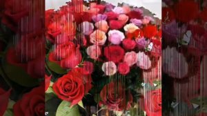 Зарина Хасаншина - Шәһәр белән авыл арасы.