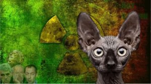 180 тысяч лье под водой под видом сущности. Кот Костян