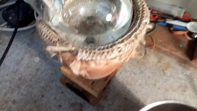 Formamide synthesis смотреть онлайн