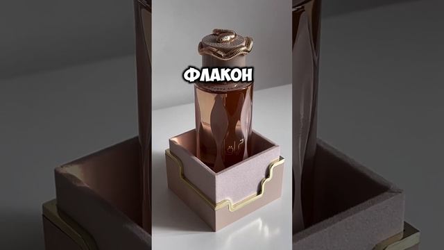 Самый ожидаемый аромат 2024 года💣! #парфюмерия#духи #женщина #парфюм #женскийпарфюм #новинка #2024 смотреть онлайн