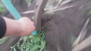 Посевной комплекс агратор 7300
