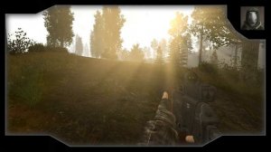 Сталкер - бабочки, комары и мухи