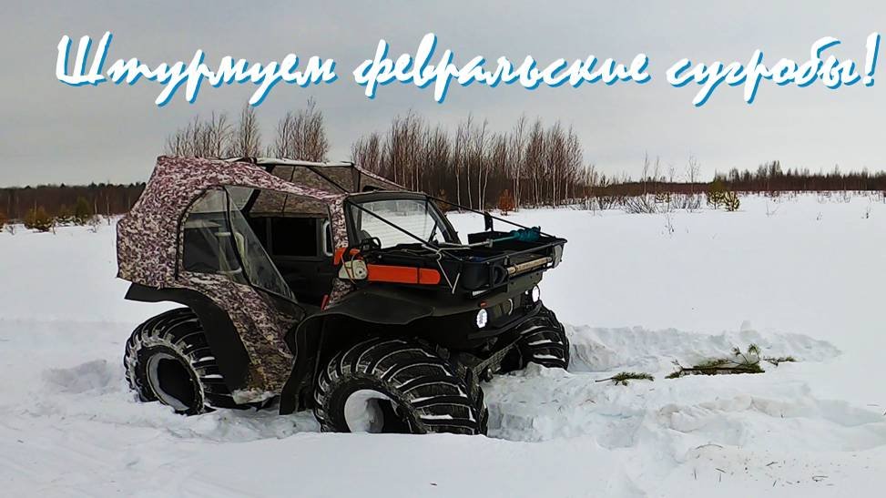 Штурмуем сугробы/едем в деревню