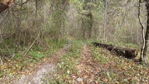 Пеший поход из села Небуг на известные водопады (Краснодарский край)