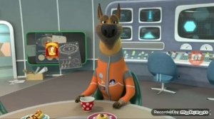 Белка Манежная: привязана к тебе